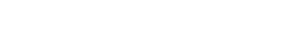 Wingman Converter SD2